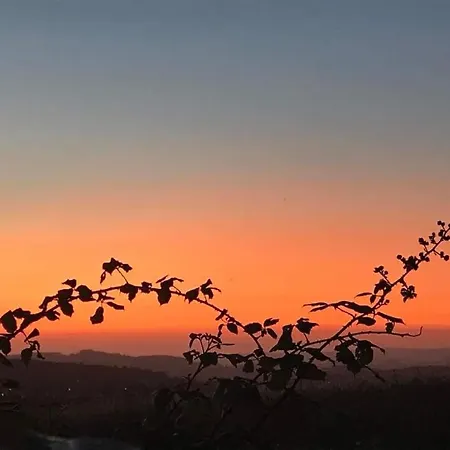 Bed & Breakfast Bbmontejunto