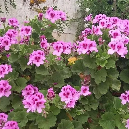 Bbmontejunto Bed & Breakfast