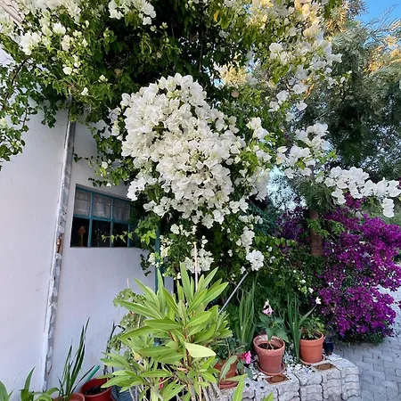 Bbmontejunto Bed & Breakfast Cadaval