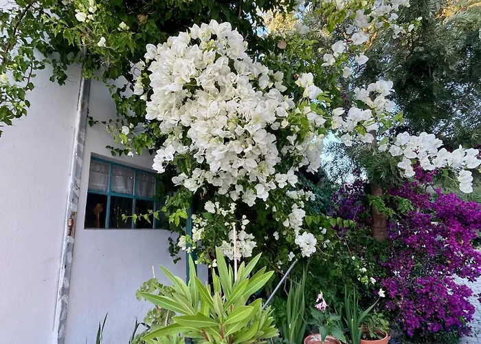 Bbmontejunto B&B Cadaval